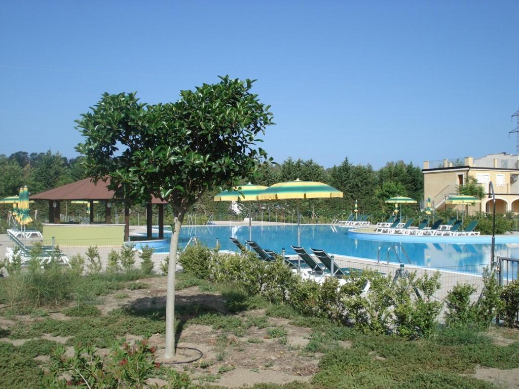 شقة Sonia Pizzo Beach Club المظهر الخارجي الصورة